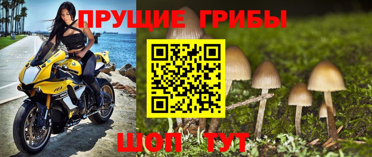 Галлюциногенные грибы мицелий  Вход с VPN  Псилоцибиновые грибы мухоморы  Вольск 